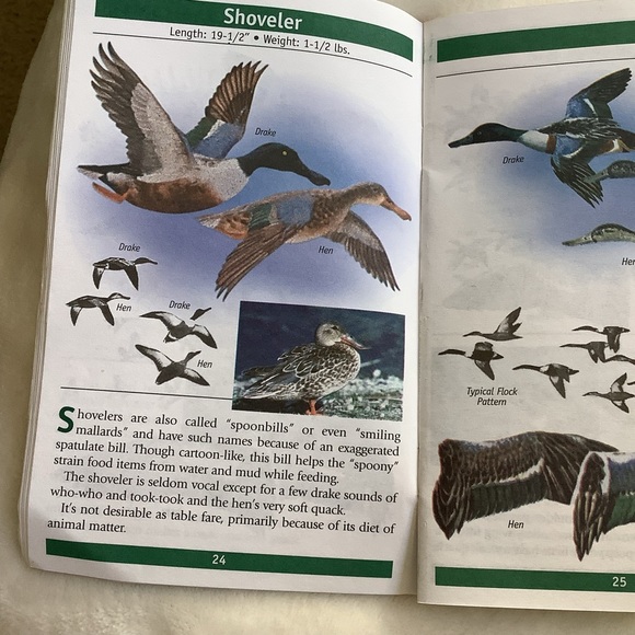 Know Thy Duck Booklet - Picture 5 of 8